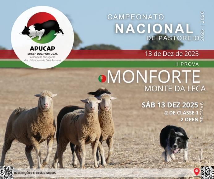 Campeonato Nacional de Pastoreio