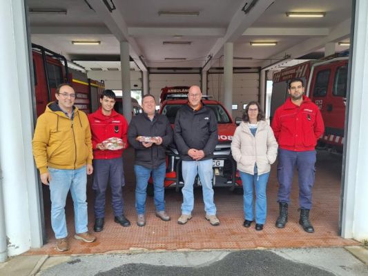 Natal &eacute; tempo de cuidar dos nossos! 